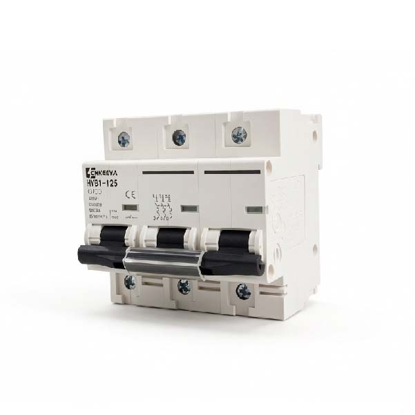 เหตุใด HYB1-125 C100 MCB Miniature Circuit Breaker จึงเป็นตัวเลือกที่ชาญฉลาดสำหรับการป้องกันไฟฟ้าที่เชื่อถือได้
