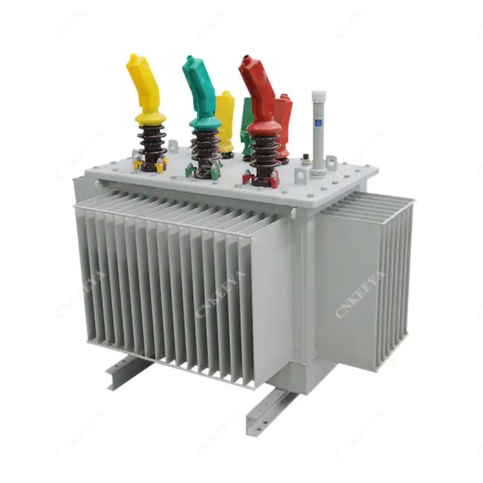 หม้อแปลงไฟฟ้าแบบจุ่มน้ำมัน 250kVA-1000kVA: กริดกำลังปานกลาง